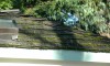 roof_moss_buildup_on_ends_dsc_0147.jpg