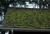 roof_moss_on_wood_roof_dsc_0164.jpg