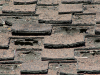 19_yr_old_50_year_shingles1-resized-600.jpg.png